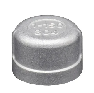 410J1 Stainless Steel Pipe Cap