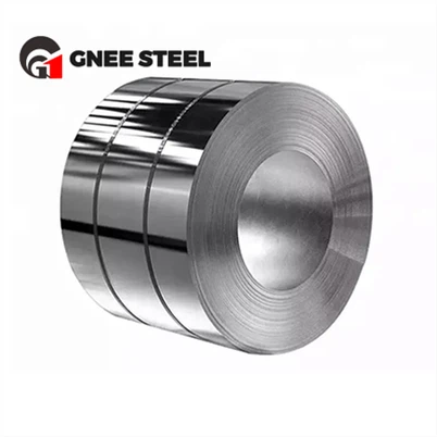 คอยล์ AISI 304 SS